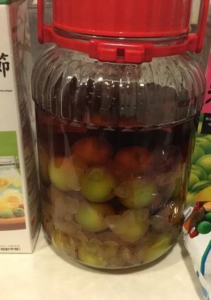 初めての梅酒作り-レシピのメイン写真