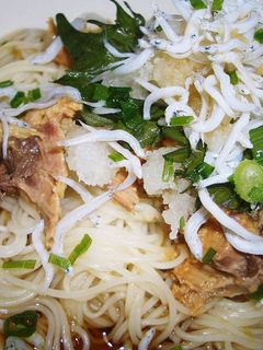 あるもので♪ぶっかけそうめん♪-レシピのメイン写真