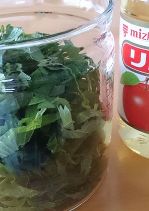 大葉のリンゴ酢ドリンク-レシピのメイン写真