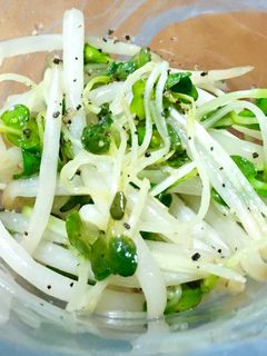 レンジで簡単!もやしとカイワレのナムル-レシピのメイン写真