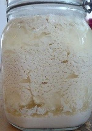 玄米酵母で作るなんちゃって豆乳ヨーグルト-レシピのメイン写真