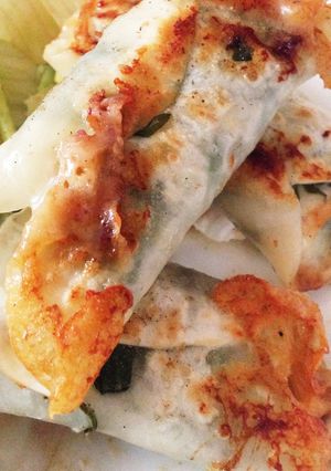 鶏むね紫蘇チーズの餃子の皮巻き-レシピのメイン写真