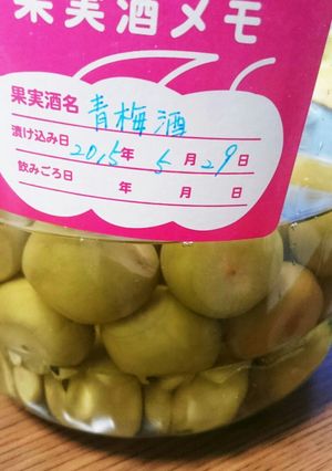 2015年の梅酒-レシピのメイン写真