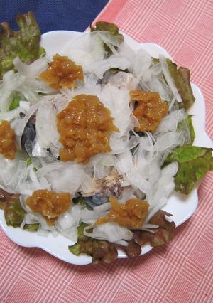 からだよろこぶ、さっぱりサバ水煮-レシピのメイン写真