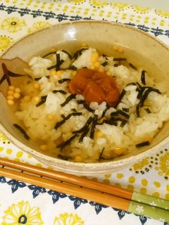 南高梅のり茶漬け-レシピのメイン写真
