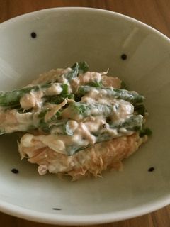 インゲンのツナクリチ和え-レシピのメイン写真
