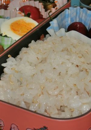 冷めてもさっぱり美味しい梅ご飯-レシピのメイン写真