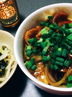 大豆ミートで照り焼き丼-レシピのメイン写真