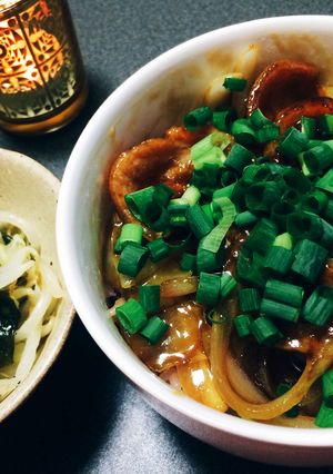 大豆ミートで照り焼き丼-レシピのメイン写真