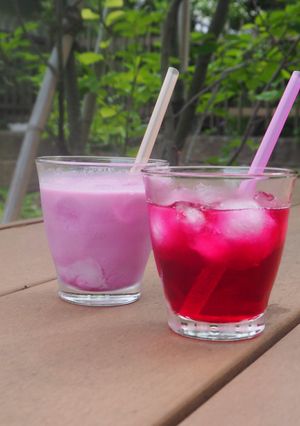しそジュース-レシピのメイン写真