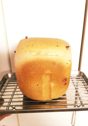 HB ミルクティーココナッツベリー パン-レシピのメイン写真