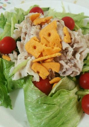 豚しゃぶサラダチーザのせ-レシピのメイン写真