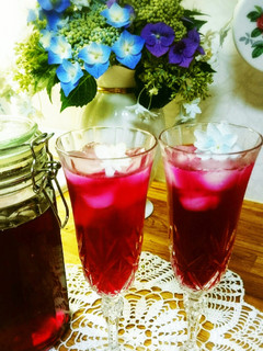 赤紫蘇とお酢で作る* 赤しそジュース-レシピのメイン写真