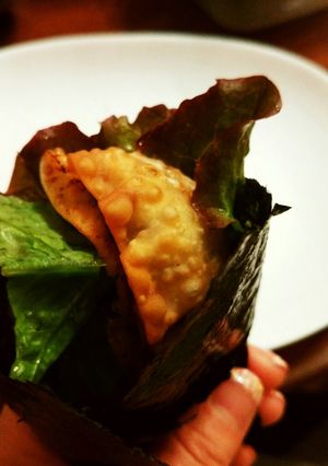 餃子手巻き-レシピのメイン写真