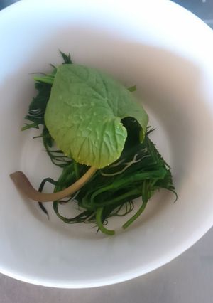 梅花藻の酢の物-レシピのメイン写真