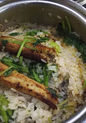 具だくさんの穴子飯-レシピのメイン写真
