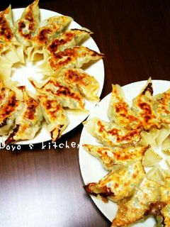 我が家の肉汁ジューシー餃子-レシピのメイン写真