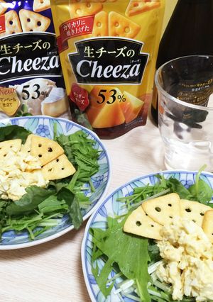 生チーズのCheezaでおつまみサラダ-レシピのメイン写真