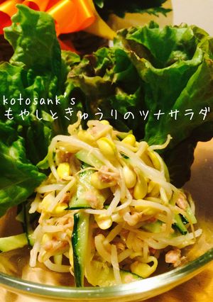 ５分で簡単！もやしときゅうりのツナサラダ-レシピのメイン写真