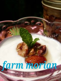 ヨーグルトにナッツ&レーズン-レシピのメイン写真