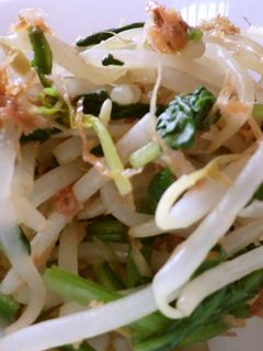 もやしのお浸し 息子のダイエット食-レシピのメイン写真