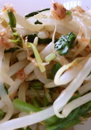 もやしのお浸し　息子のダイエット食-レシピのメイン写真