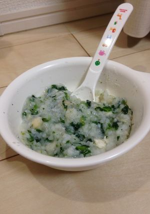 一品料理で簡単！栄養満点離乳食(中期)-レシピのメイン写真