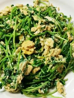 豆苗の卵炒め♪-レシピのメイン写真