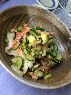 紅しょうがでサッパリ♪野菜の簡単浅漬け-レシピのメイン写真