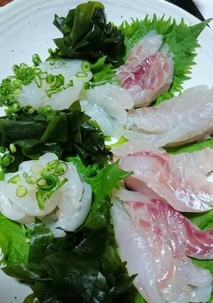 釣りたて真鯛とウマヅラハギの刺身-レシピのメイン写真