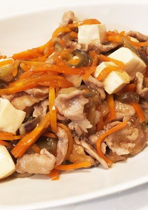 豆腐と豚肉のすっぱ煮-レシピのメイン写真