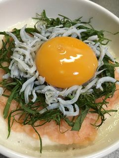 少ないサーモンでお腹いっぱい!鮭とろろ丼-レシピのメイン写真