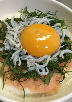 少ないサーモンでお腹いっぱい！鮭とろろ丼-レシピのメイン写真