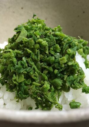 山菜食べよう！『ウドの葉っぱゴハン』-レシピのメイン写真