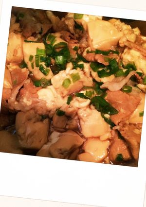豚モモ肉と豆腐煮-レシピのメイン写真