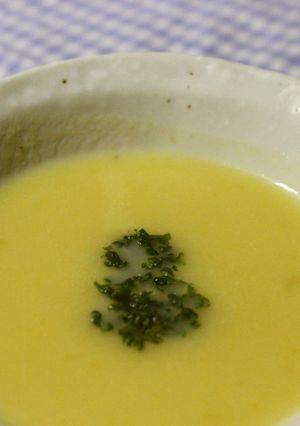 簡単！野菜のポタージュスープ-レシピのメイン写真