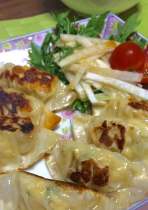 もっちりフワフワ♪高野豆腐と鶏のシソ餃子-レシピのメイン写真