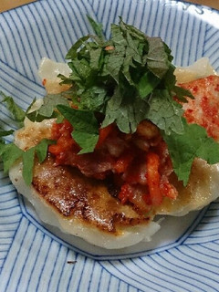 餃子のしそキムチのせ-レシピのメイン写真