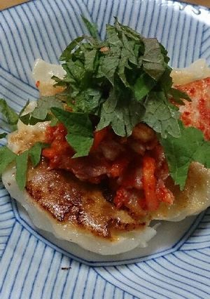 餃子のしそキムチのせ-レシピのメイン写真