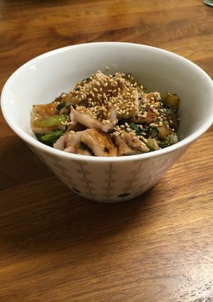 15分簡単レシピ豚肉とナスの生姜焼き風丼-レシピのメイン写真