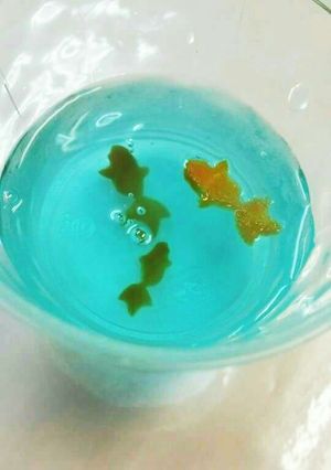 金魚ゼリー-レシピのメイン写真