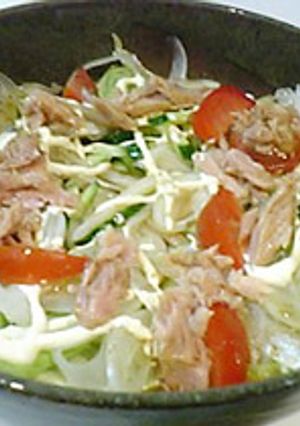 和風サラダうどん-レシピのメイン写真