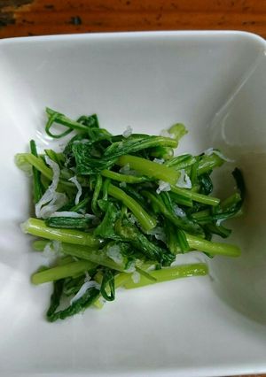 さっぱり春菊おろしおひたし-レシピのメイン写真