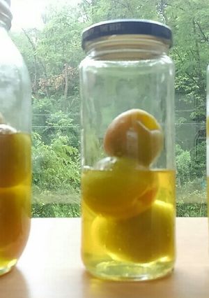 はちみつ梅ジュース＊梅は冷凍すると簡単-レシピのメイン写真
