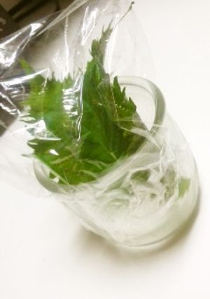 10日間以上OK？！大葉は野菜室で保存☆-レシピのメイン写真
