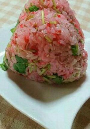 梅干しとじゃこのおにぎり-レシピのメイン写真