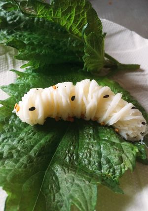 モッツァレアで虫⁇カイコ♪-レシピのメイン写真