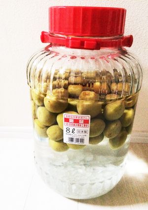母に教わった梅酒-レシピのメイン写真