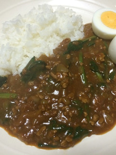 簡単★ほうれん草のキーマカレー-レシピのメイン写真