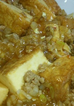厚揚げとひき肉の中華あんかけ☆-レシピのメイン写真
